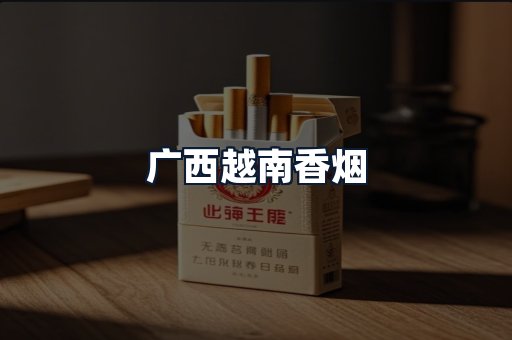 广西越南香烟